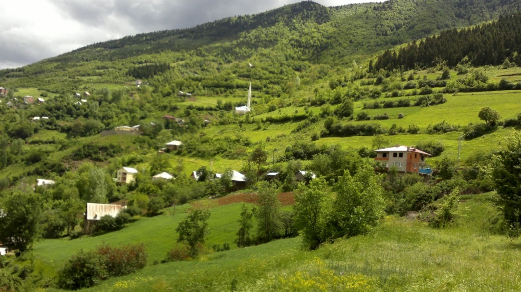 Kazıkbeli Yaylası