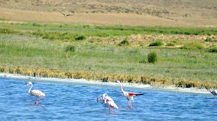 Kulu Gölü (Düden Gölü)