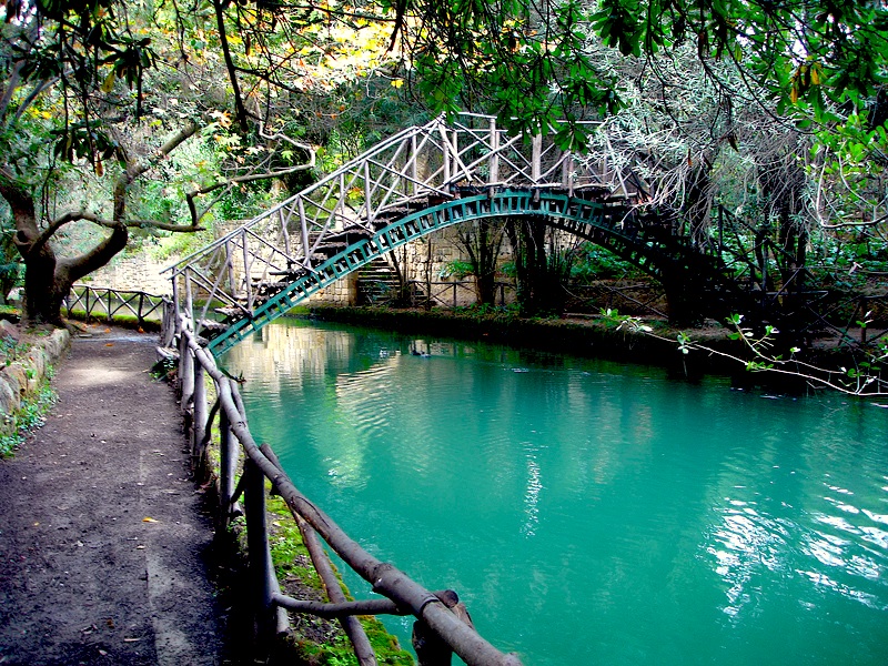 Rodini Park