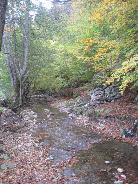 Abant Dört Mevsim Konağı