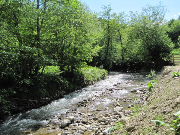 Abant Dört Mevsim Konağı