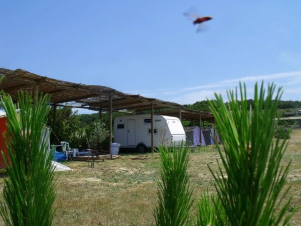 Adadaki Evimiz & Ada Camping
