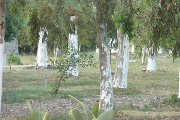 Altınkum Camping