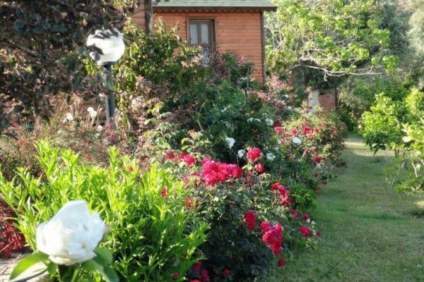 Babil Eytay Tatil Köyü