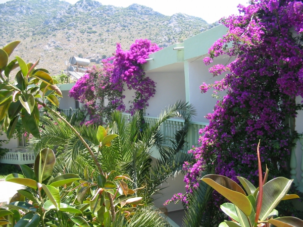 Begovina Motel