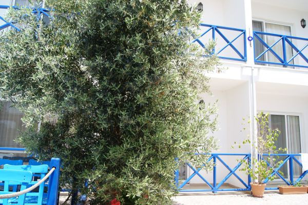Blue Bosprina Hotel