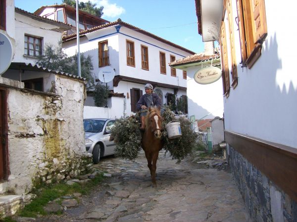 Dionysos Pension