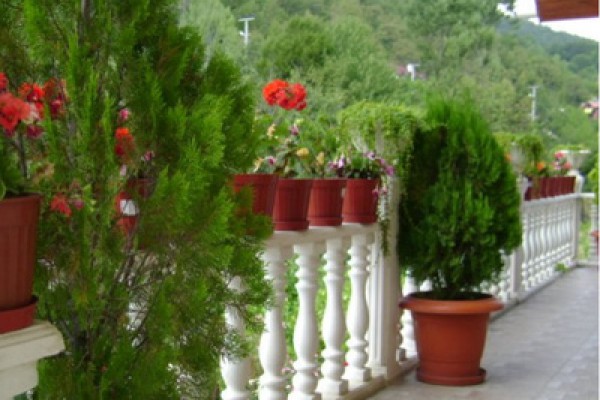 Doğa Köşkü Abant Bungalow Evleri
