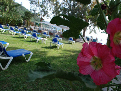 Erine Beach Bungalow & Butik Otel