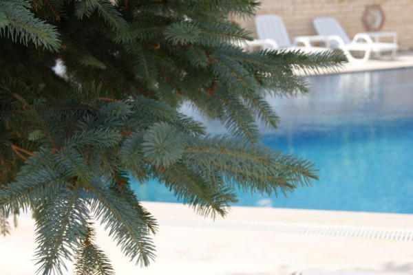 Hotel Erol