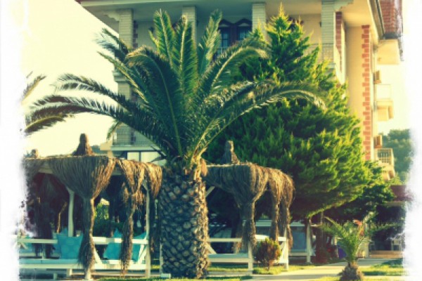 Hotel Erol