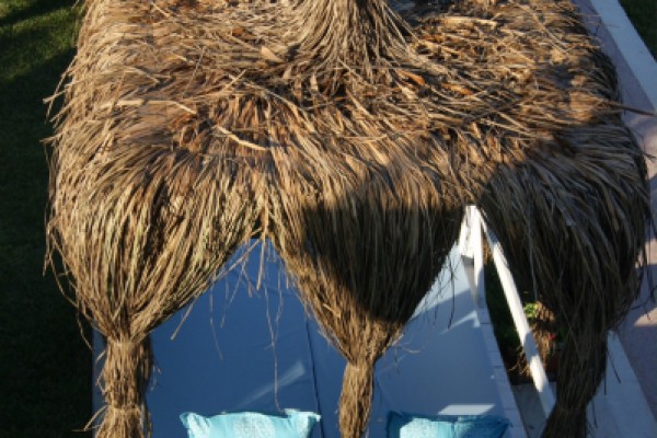 Hotel Erol