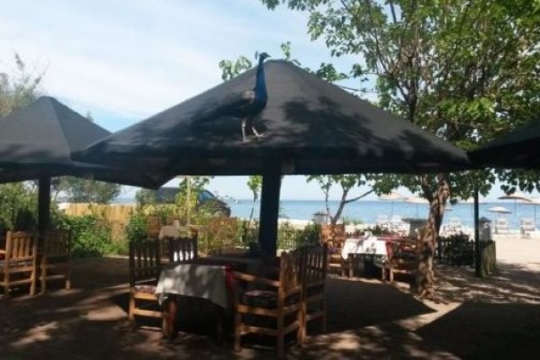 Hotel Yavuz Bungalow
