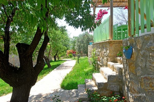 Köy Evi Apart