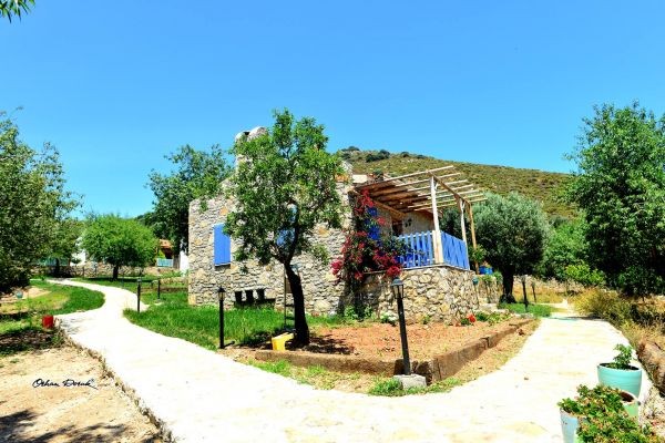 Köy Evi Apart