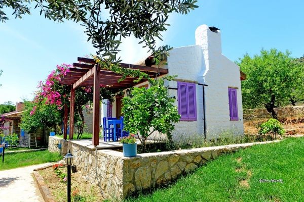 Köy Evi Apart