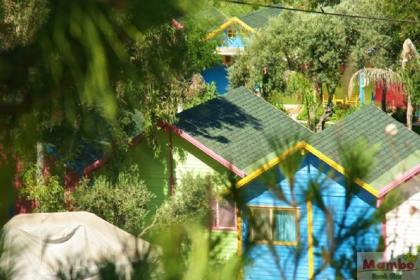 Mambo Beach Bungalow