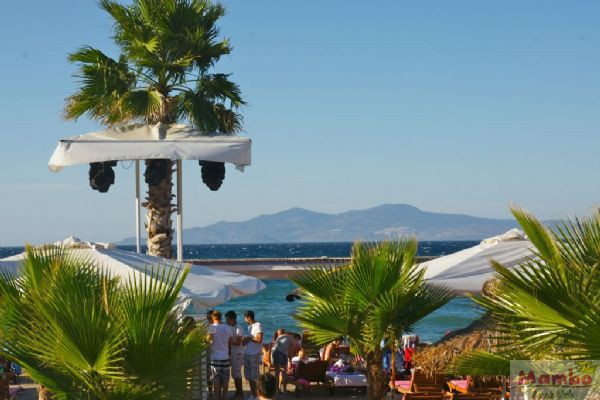 Mambo Beach Bungalow