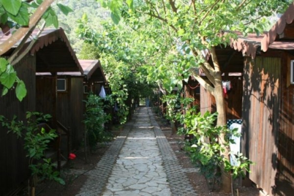 Olimpos Ayışığı Pansiyon