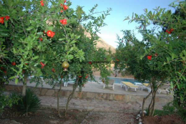 Olympos Inn
