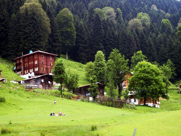 Oris Ahşap Otel