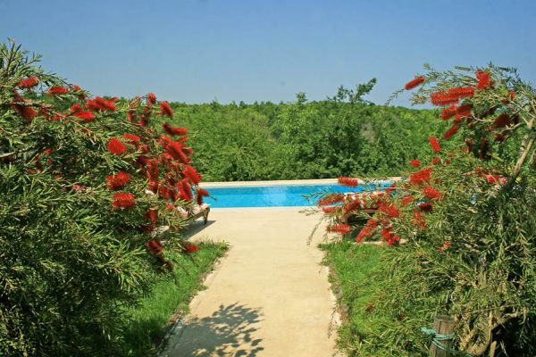Orman Evi