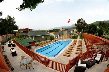 Padok Premium Hotel and Stables