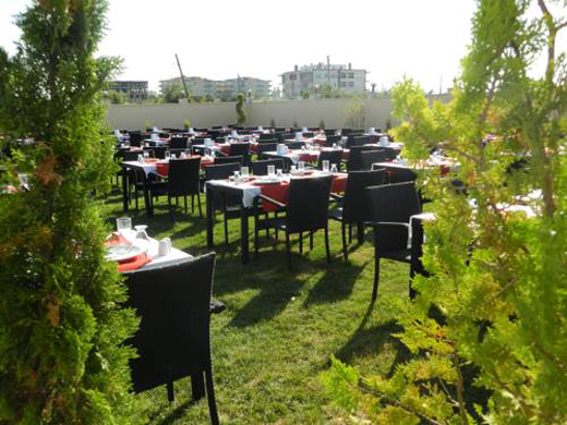 Pointer Otel