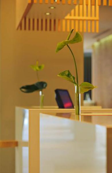 Radisson Blu Conference & Airport Hotel Istanbul