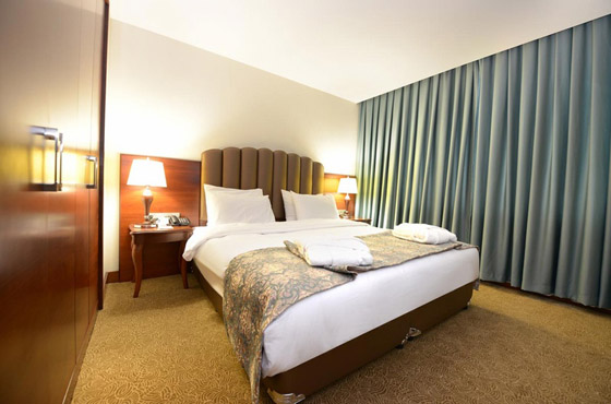 Ramada Plaza Altın Kayısı