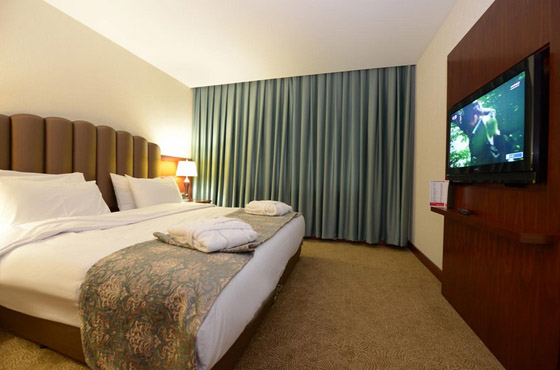 Ramada Plaza Altın Kayısı