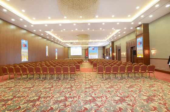 Ramada Plaza Altın Kayısı
