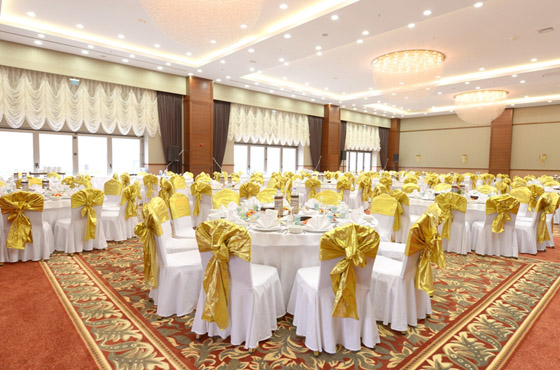 Ramada Plaza Altın Kayısı