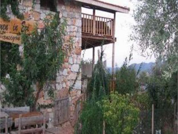 Telemen'in Evi