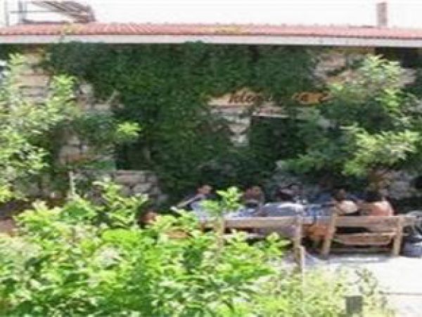 Telemen'in Evi