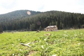 Ballıdağ Dag Evi