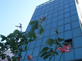 B&uuml;y&uuml;k S&ouml;ğ&uuml;tl&uuml; Hotel