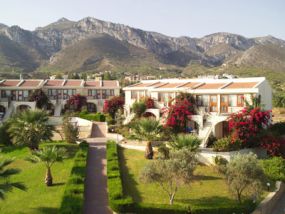 Dedeman Olive Tree Vacation