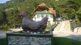 Doğal Yaşam Oteli