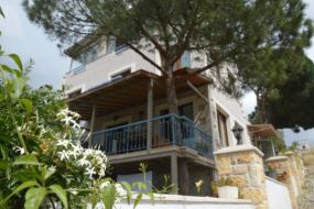 Fo&ccedil;a Erguvan