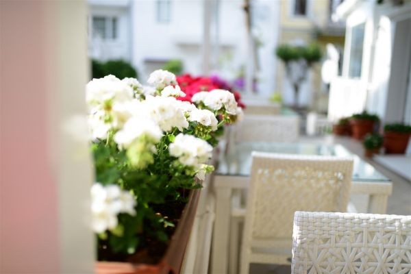 White Palace Otel