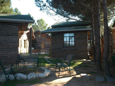 Woody Ville