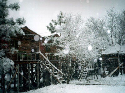 Woody Ville