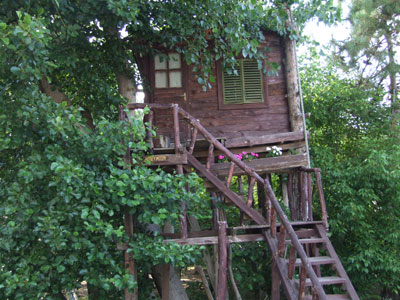 Woody Ville