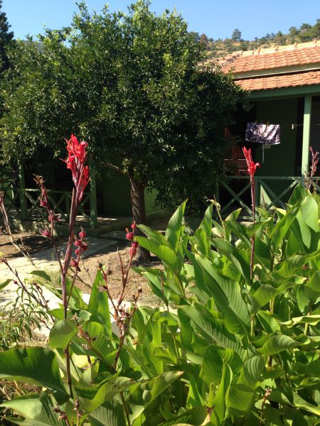 Yalı Turkuaz Bungalow
