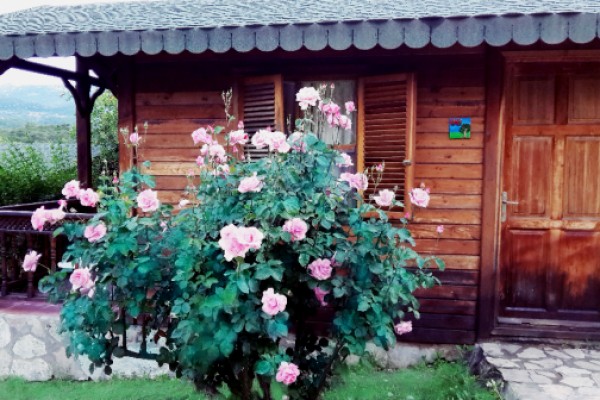 Adam & Eva Bungalow