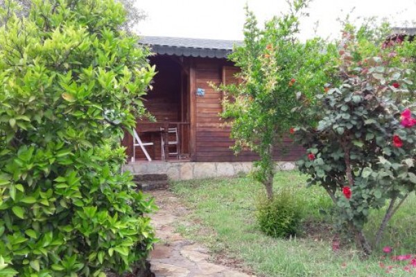 Adam & Eva Bungalow