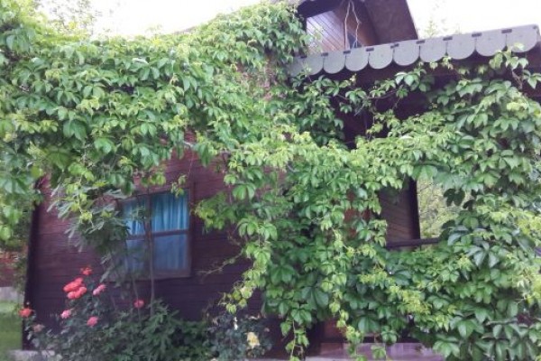 Adam & Eva Bungalow