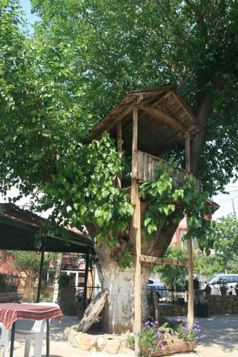 Allgau Hotel