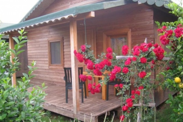 Almira Butik Otel